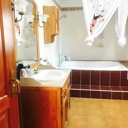 招待所 Wifi Tenerife Sur