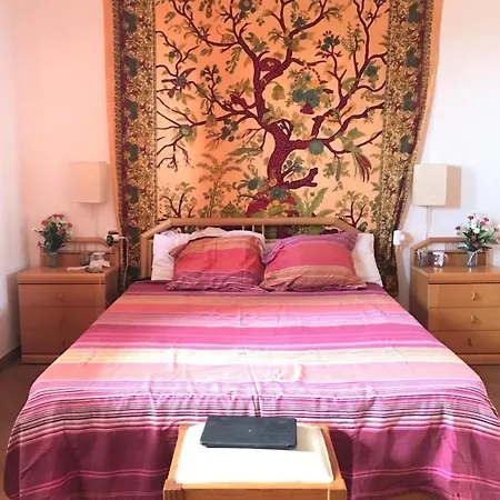 招待所 Wifi Tenerife Sur 格拉纳迪利亚-德阿沃纳